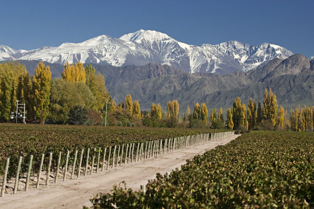 FOTO REFERENCIA MENDOZA VINO ARGENTINO BLOG SPIWAK