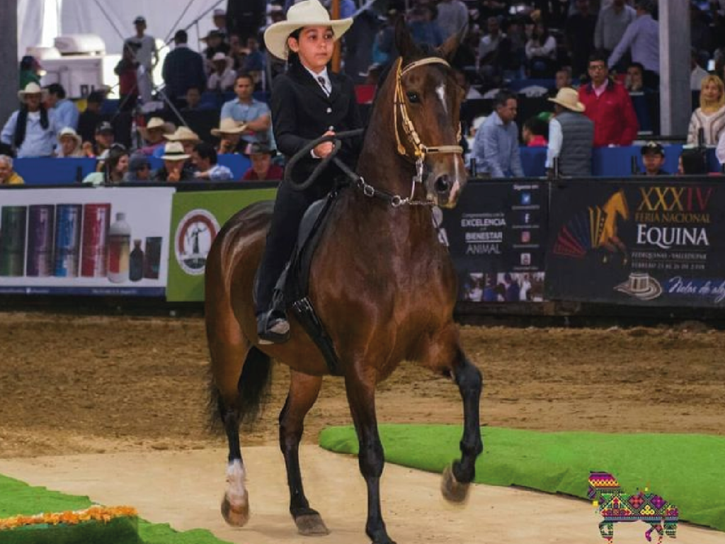MUJER REPRESENTACIÓN MUNDIAL EQUINA BLOG SPIWAK